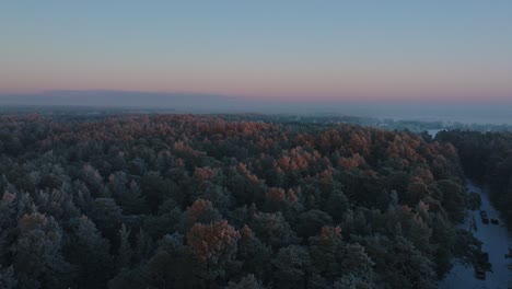 Romantic-aerial-establishing-view-of-Nordic-woodland-pine-tree-forest,-flying-above-the-winter-forest-in-sunset,-romantic-golden-hour-light-glow,-Baltic-sea-coastline,-wide-drone-shot-moving-forward