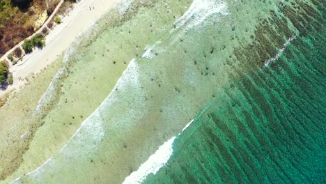 Smaragdgrüne-Meeresstruktur-Aus-Beleuchteten-Algen-Und-Korallenriffen