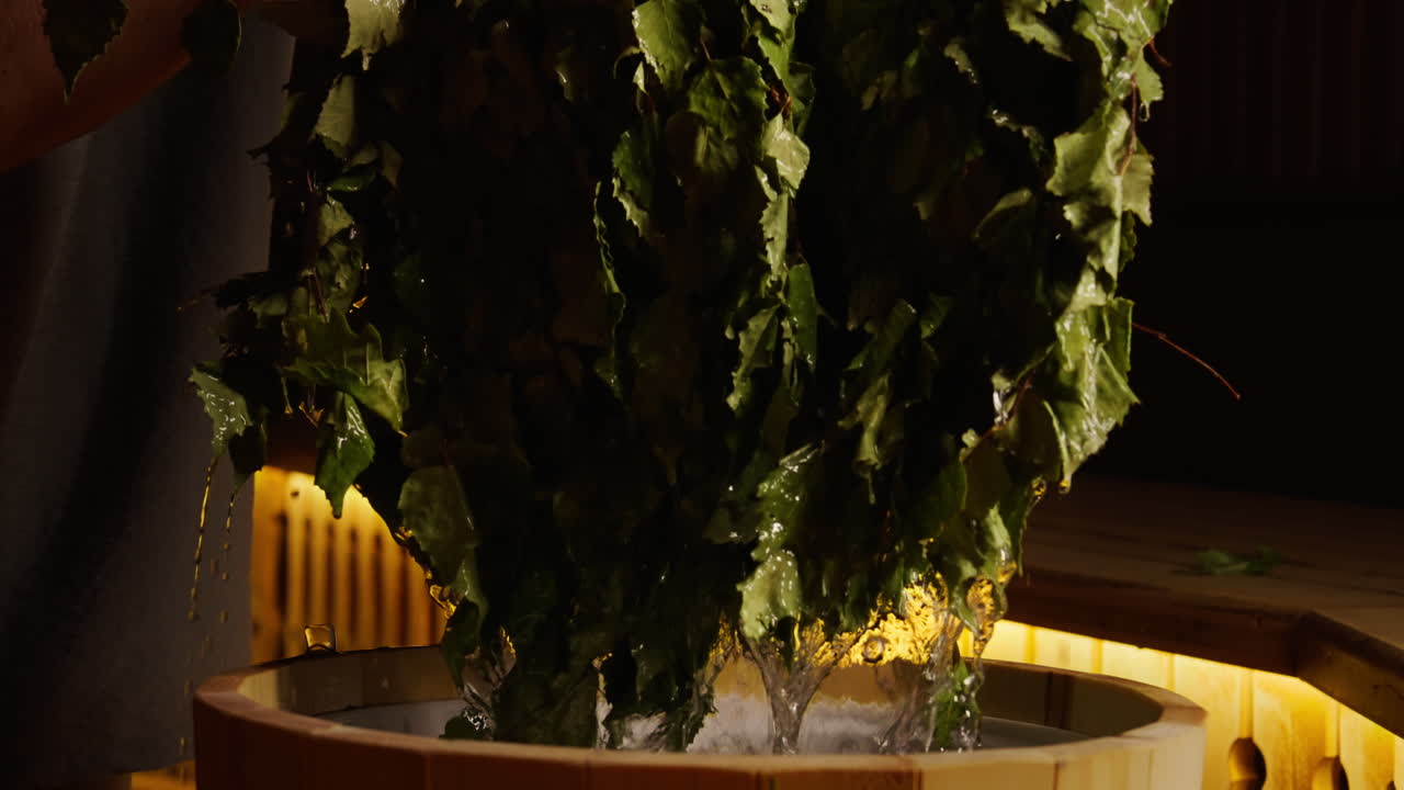 Preparing birch branches for sauna