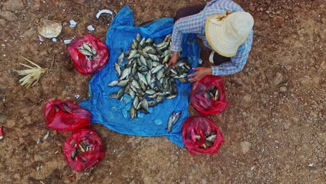un pequeño mercado en el pueblo flotante en kompong khleang - toma aérea