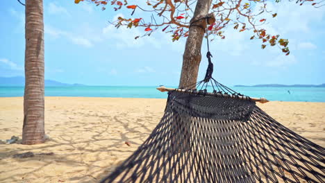 empty hammock between trees on beach with sea in background