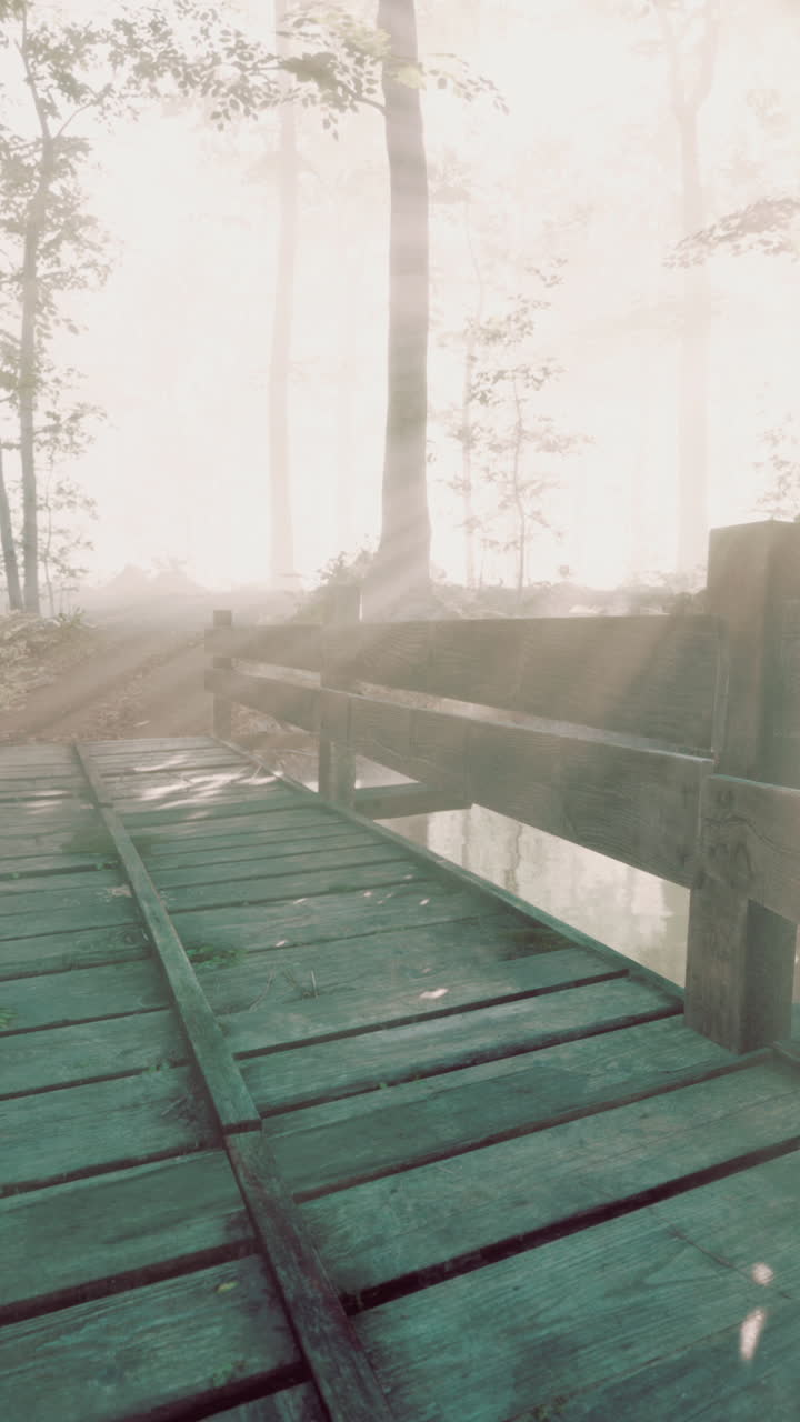 A Wooden Bridge in a Foggy Forest