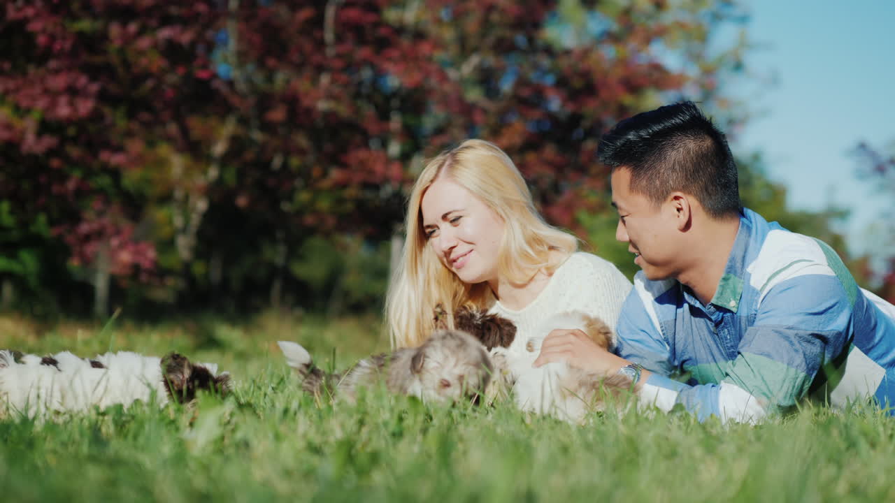 강아지와 노는 커플