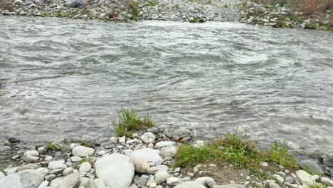 a steady stream flows rapidly over smooth rocks and pebbles, bordered by grass and wildflowers. natural daylight, static camera, tranquil outdoor setting