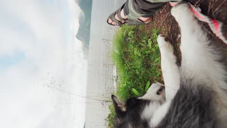 Hombre-Y-Perro-Relajándose-Pacíficamente-Junto-Al-Lago-Del-Parque-Nacional-De-Ånderdalen-En-La-Isla-De-Senja,-Noruega