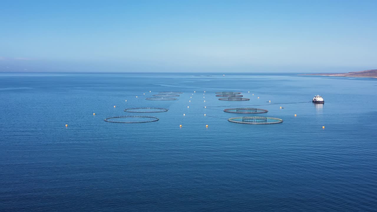 노르웨이에서 연어  ⁇ 시를 하는 공중 촬영