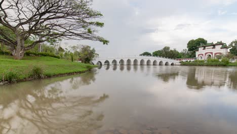 timelapse of the peaceful jurong lake garden in the garden city singapore.