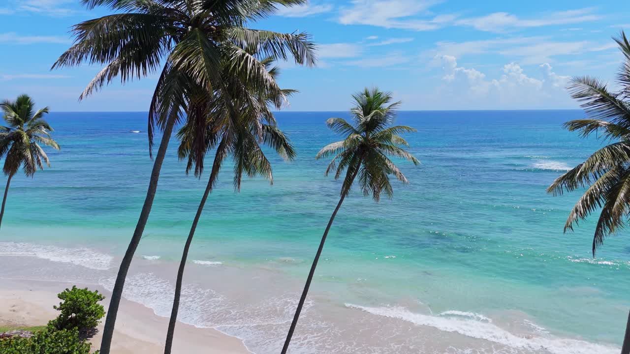 Drone cinematic Playa Los Coquitos, Maria Trinidad Sanchez, Dominican Republic.