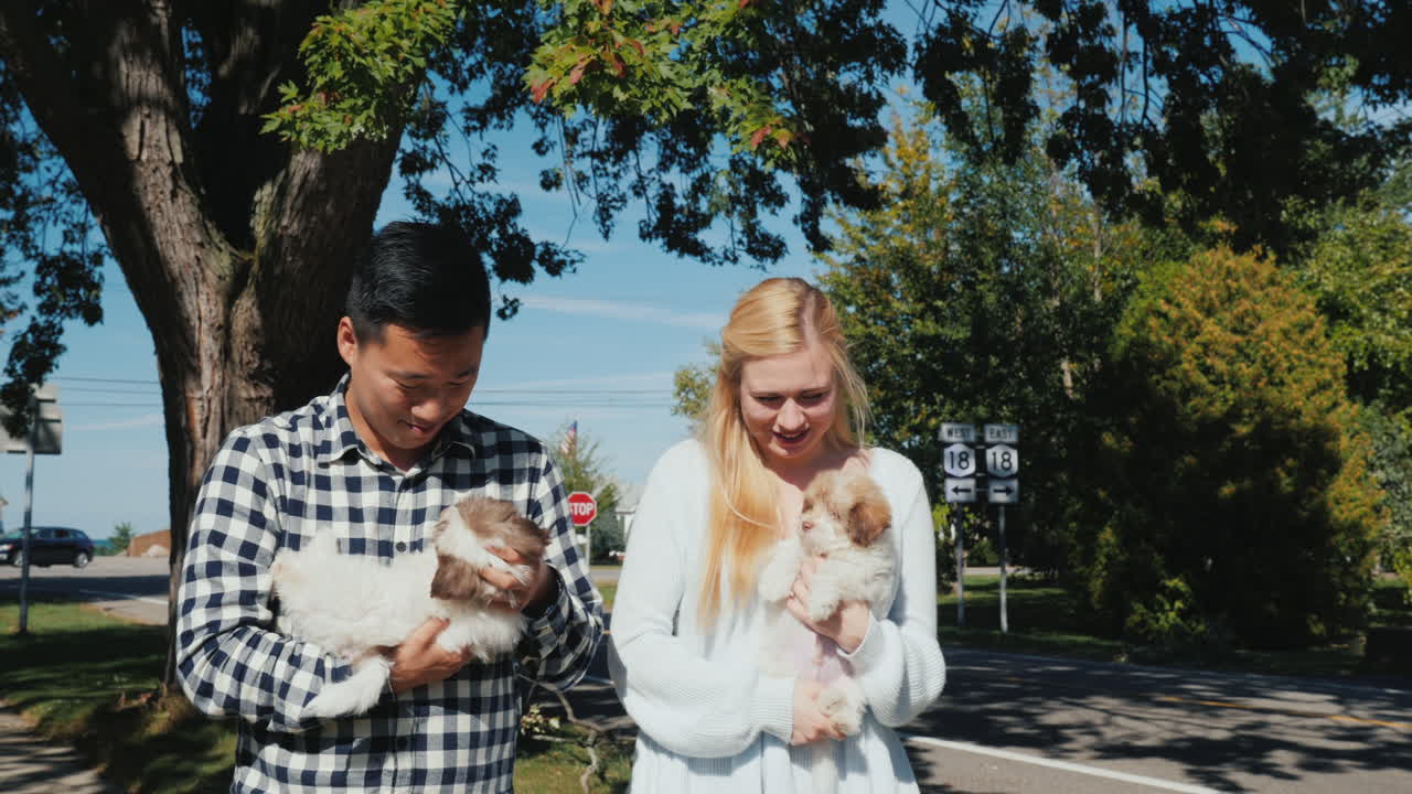 강아지와 함께 산책하는 부부