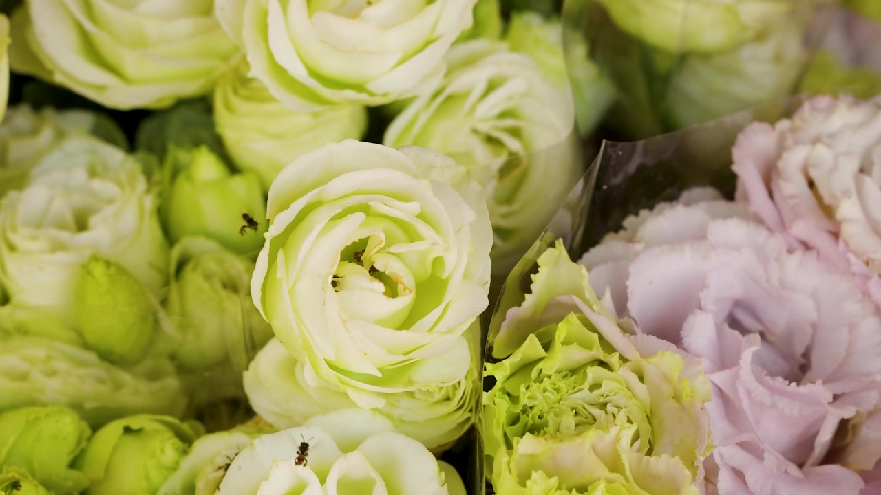 Small bees fly around fresh white and pink lisianthus blooms in a bright market.
