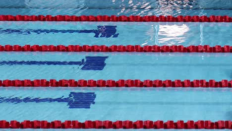 athlete swimming laps in a competitive pool