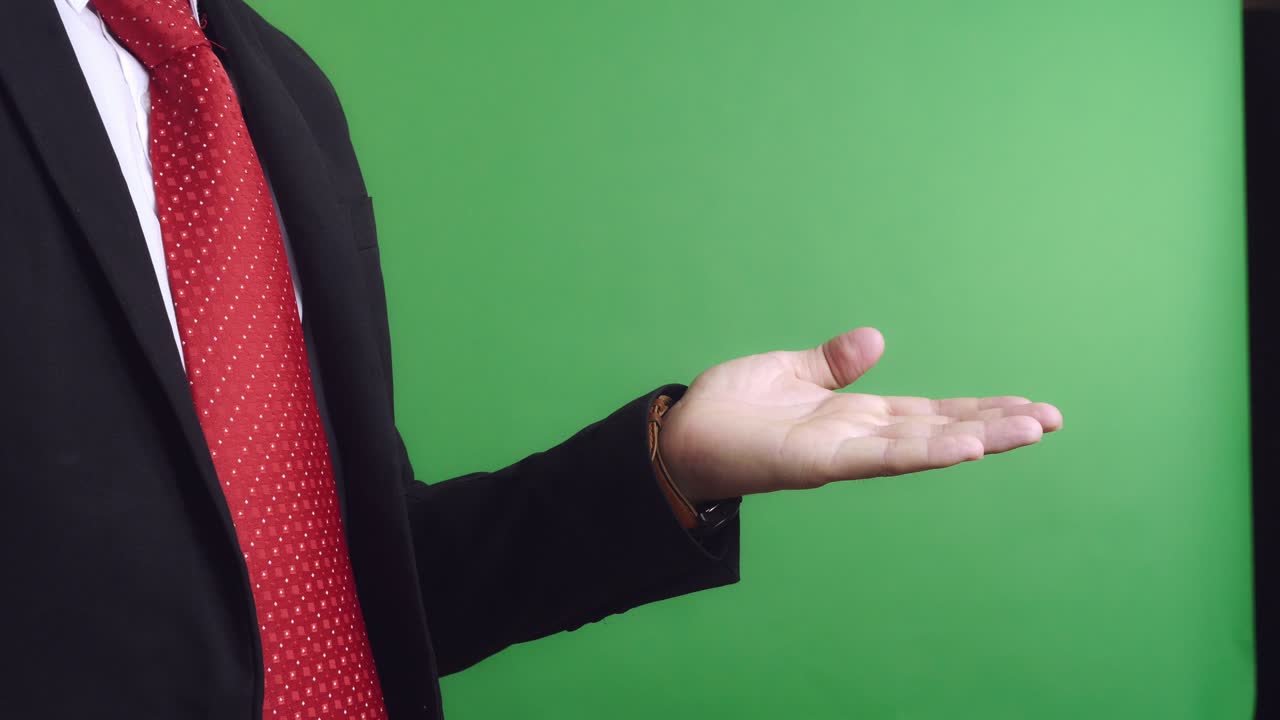 Businessman Presenting