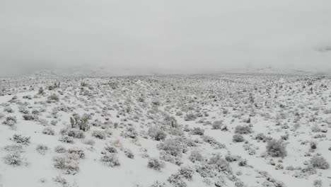 desert snow trail