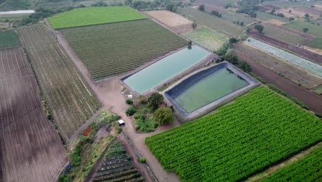 Toma-De-Drones-De-Viñedos-De-Uva,-Campos-Agrícolas,-Estanques-De-Riego-En-Maharashtra,-India.