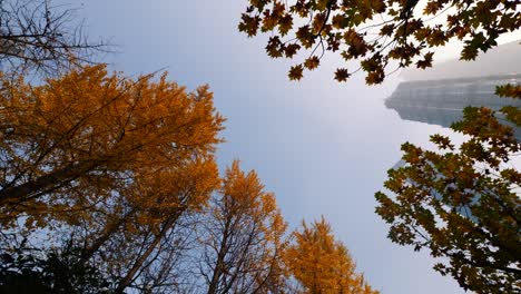 low angle view of shanghai lujiazui landmarks with blue sky in heavy air polluted autumn day, rotate shot, 4k b roll loopable footage, modern city concept.