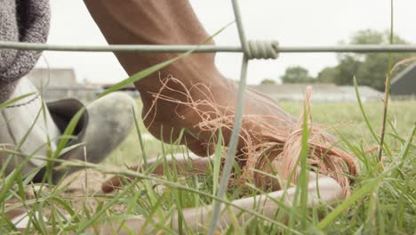 tracking shot of shepherd's hand fondly touching a staff - low angle shot