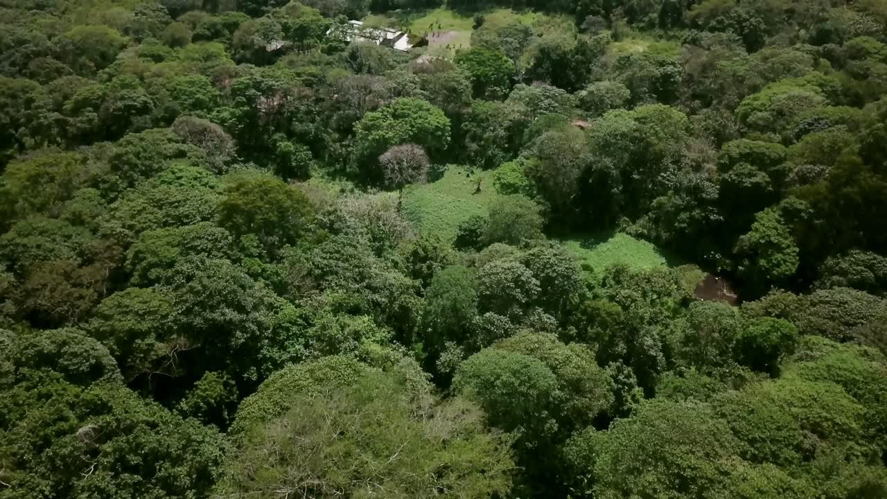 volar sobre el denso bosque hacia el lago del cráter en uganda