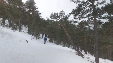 Vista-Posterior-De-Una-Joven-Despertando-En-Un-Bosque-Nevado-En-La-Sierra-De-Madrid-Navacerrada