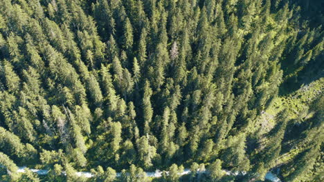 immerse in turquoise tranquility as the drone hovers above the serene waters, then gracefully ascends to unveil the majestic austrian alps