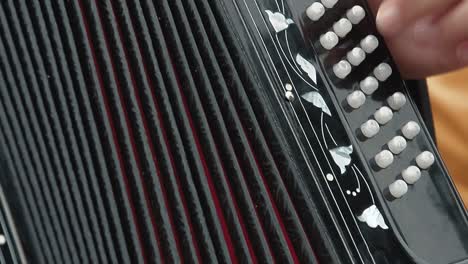 woman dressed in a folk costume plays the accordion 3