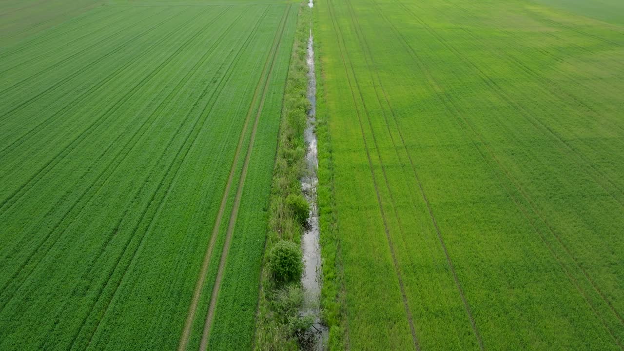 성숙하는 곡물  ⁇ , 유기농업, 시골 풍경, 지속 가능한 관리를 위한 식품 및 바이오매스 생산,  ⁇ 은 여름 날, 드론 촬영