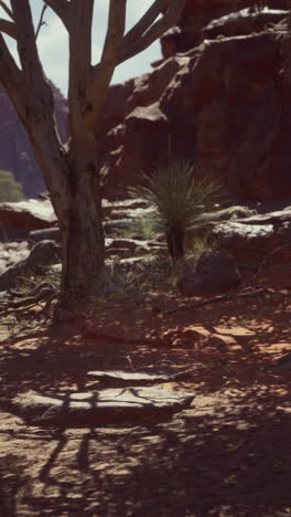 a solitary tree stands tall in a desert landscape, its roots exposed against the red sand. the sun casts long shadows across the scene, highlighting the harsh beauty of the desert.