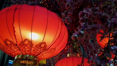 chinese new year red paper lantern decorations with sakura trees-1