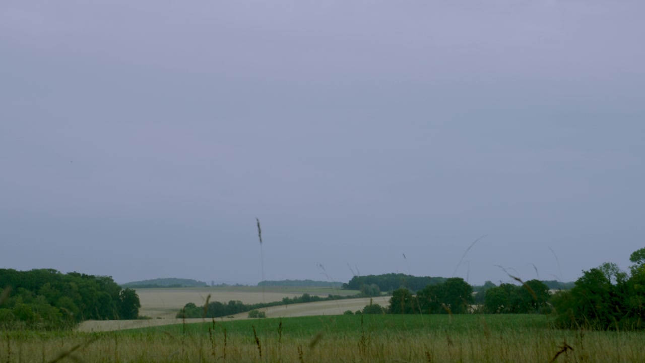 Overskyet mark og trærække, stemningsfuldt landskab, landdistrikt, Frankrig, natur, landligt, himmel, HD-video, stockoptagelser, b-roll, udendørs, udendørs, dagtid, naturligt lys, landlig livsstil, landbrug