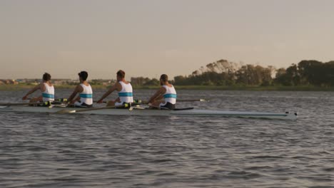 side view of male rower team rowing on the lake