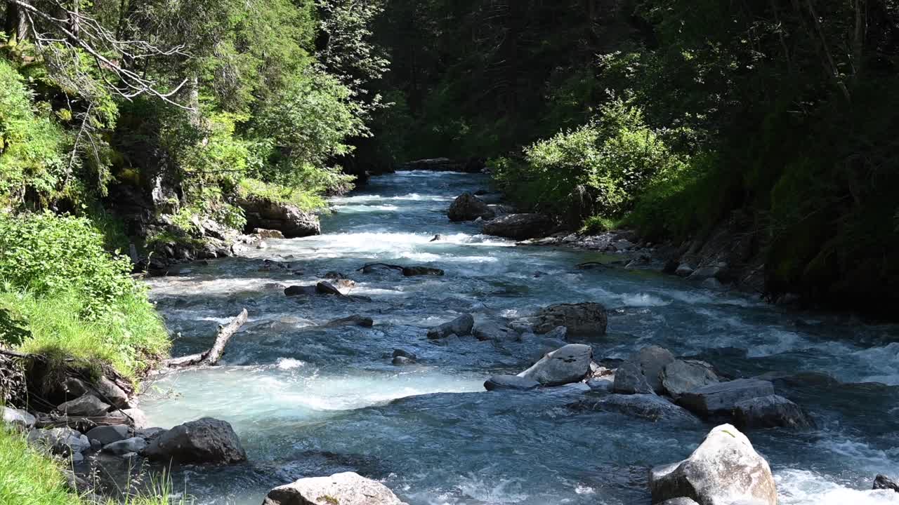 Fiume alpino in un ambiente naturale, rocce e alberi creano ombre, Vallese, Svizzera