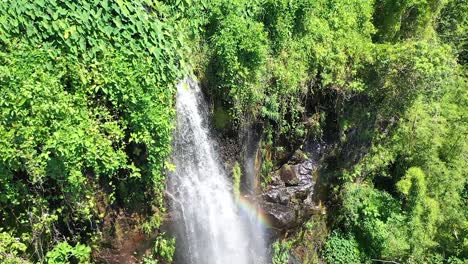 Vista-Aérea-De-Arriba-Hacia-Abajo-De-Una-Gran-Cascada-En-La-Densa-Selva-Tropical-En-La-Isla-De-Reunión,-Océano-índico