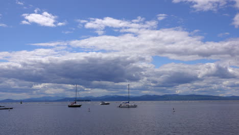 Sailboats-moored-in-the-harbor