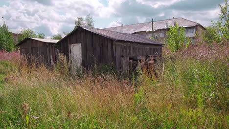 old wooden sheds in a weedy yard