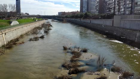 shot from a bridge above the river manzanares, madrid