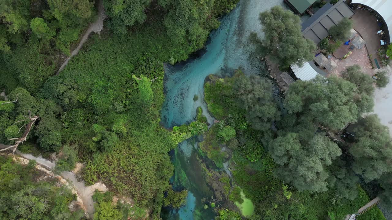 Veduta aerea di una sorgente blu serena circondata da vegetazione lussureggiante