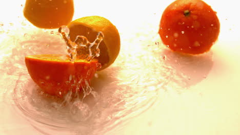 lemon and orange halves falling and bouncing on white wet surface