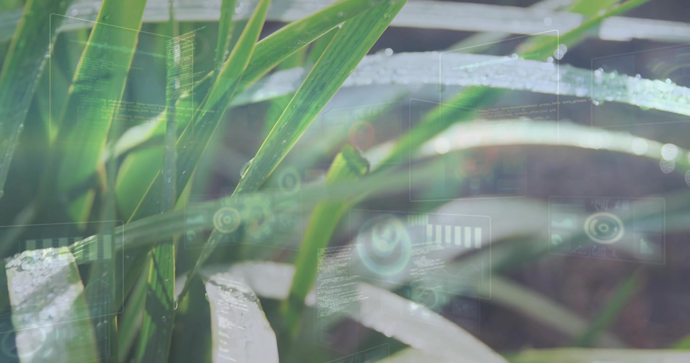 Environmental Data Analysis on Dewy Green Grass Blades