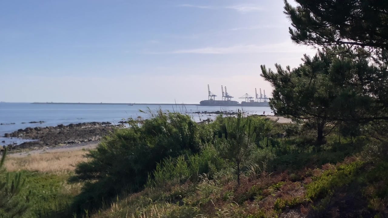 Steinete kystlinje møter rolig havvann under en klar himmel. Fjerne lasteskip navigerer nær en lang kystnær molo.
