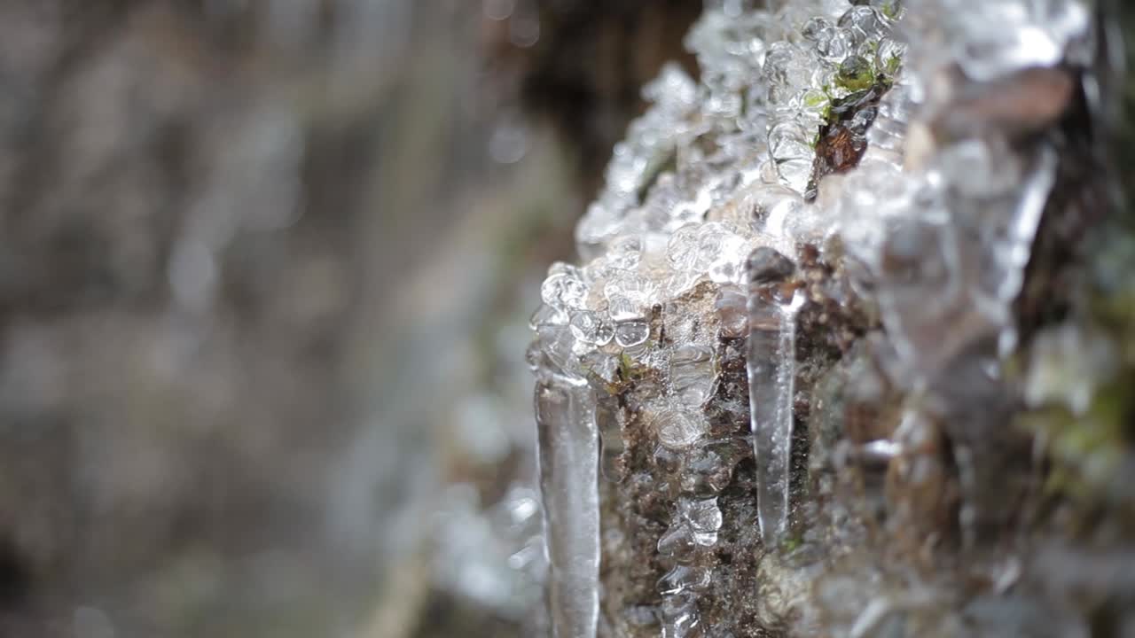 cascada de invierno con carámbanos en el bosque muy rápido, cerca de cesis