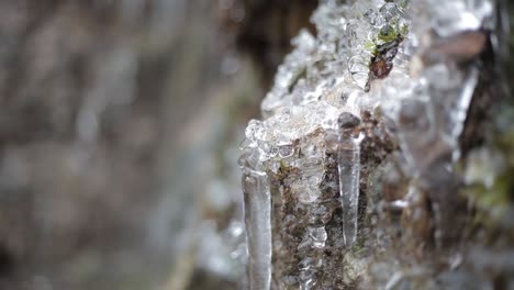 Waterfall-winter-with-icicles-in-the-forest-very-rapid,-near-Cesis