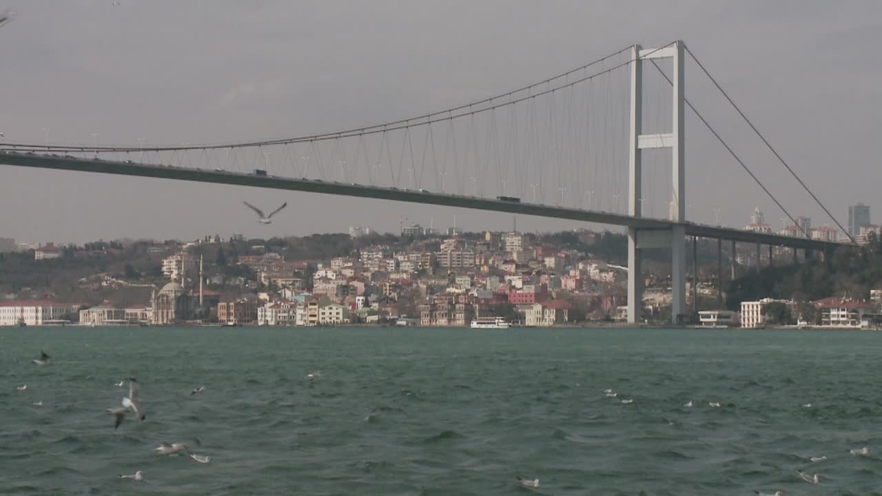 Boğaz Köprüsü ve uçan martılar