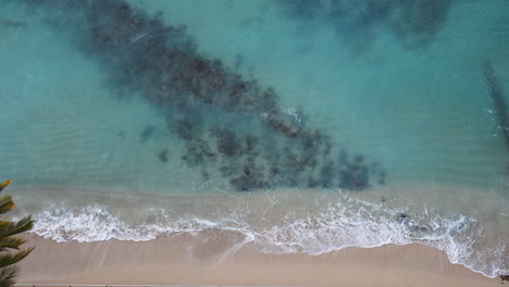 Blue-Clear-Waves-Rolling-Into-Shoreline-On-Relaxing-Summer-Day,-Hawaii,-View-from-Above