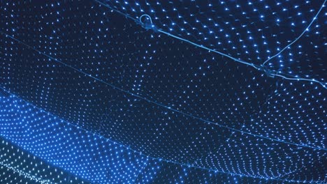 blue fairy lights hang in festive winter park under dark sky