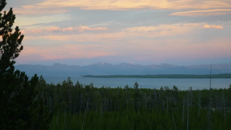 Lake-Yellowstone-Nationalpark-West-Thumb-Geyser-Basin-Grant-Village-Atemberaubender-Spätherbst-Herbst-Friedlich-Rosa-Warmer-Farbton-Sonnenuntergänge-Abenddämmerung-Grüne-Kiefern-Teton-National-Forest-Filmisch-Langsam-Nach-Links-Schwenken