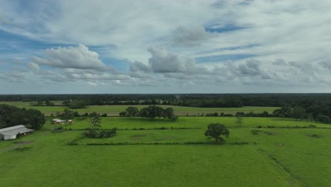 Farmland-in-Fairhope,-Alabama-on-a-cloudy-day