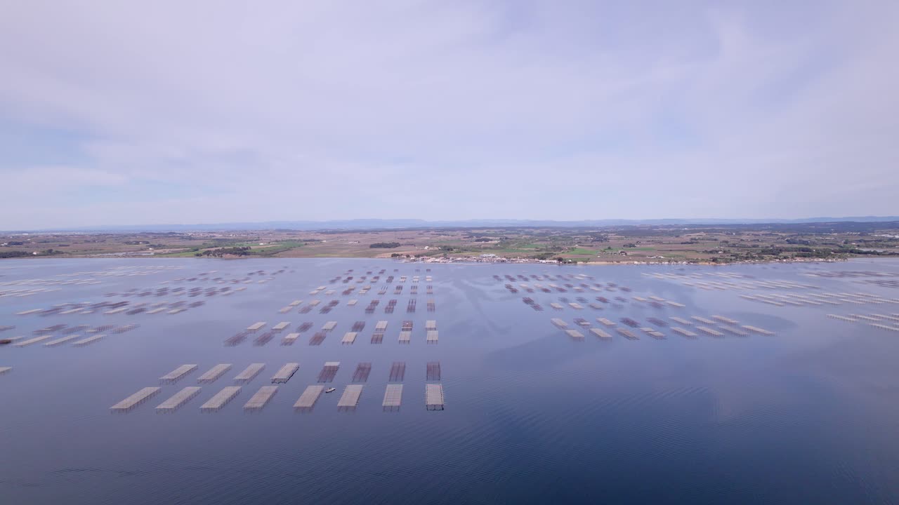 Ascending aerial over vast surface of seafood oyster farm near S&egrave;te city, south of France