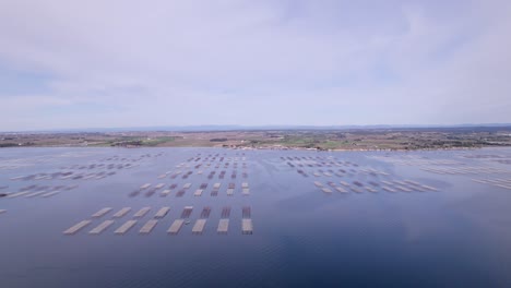 aerial ascendente sobre la vasta superficie de la granja de ostras de mariscos cerca de la ciudad de sète, al sur de francia