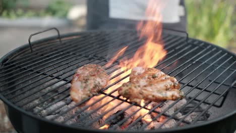 chicken grilled on an open fire on a bbq