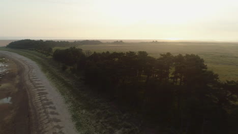 Drohnenaufnahme-Einer-Baumreihe-Am-Sandstrand-Mit-Salzwiesenfeldern-Dahinter-Bei-Atemberaubendem-Sonnenaufgang-In-Wells-next-the-Sea-North-Norfolk-UK-Ostküste