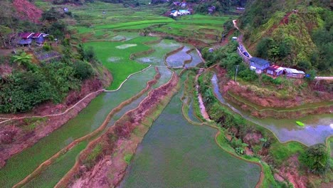 Bated-terraces-of-rice-drone-aerial